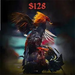 s128 11zon